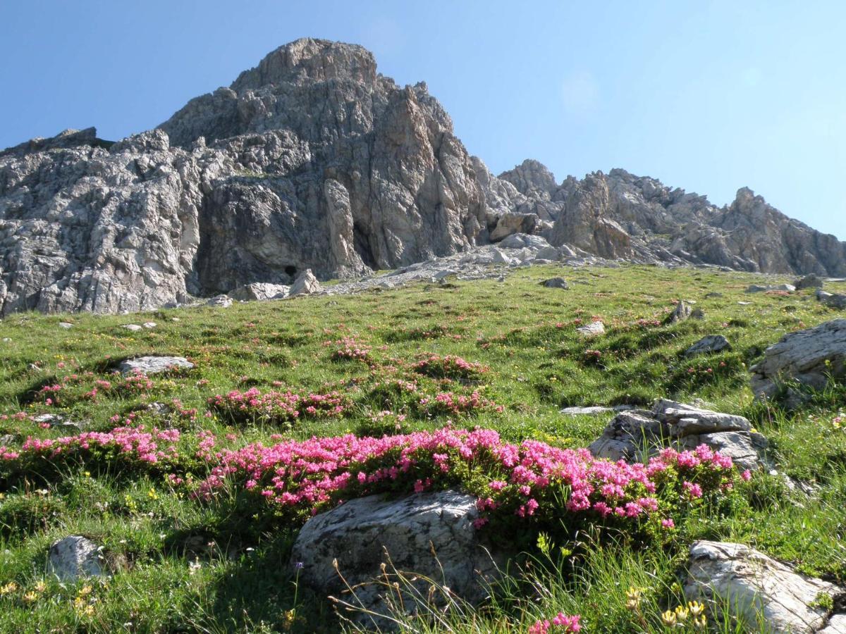 4 Mountains Apartments Kleinarl Zewnętrze zdjęcie