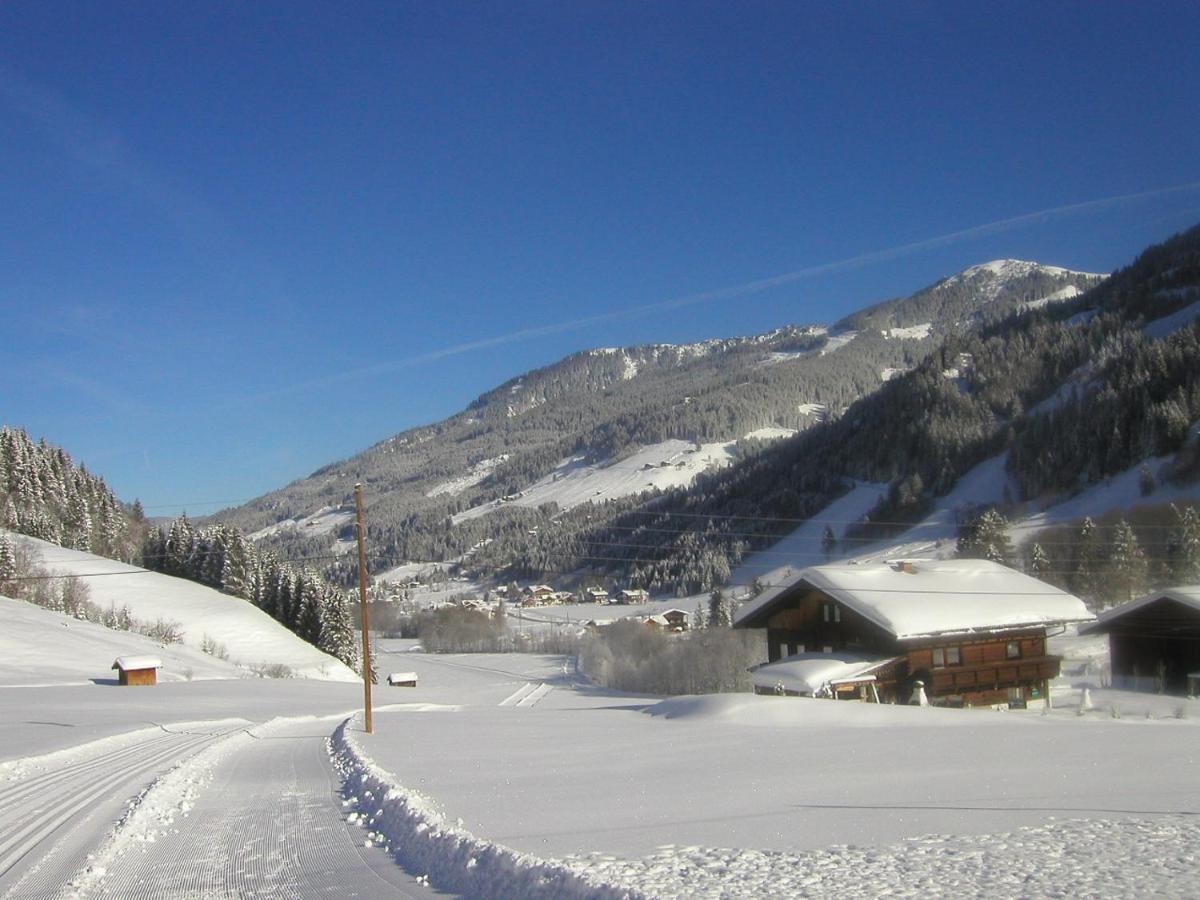 4 Mountains Apartments Kleinarl Zewnętrze zdjęcie