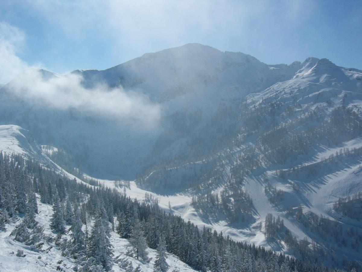 4 Mountains Apartments Kleinarl Zewnętrze zdjęcie